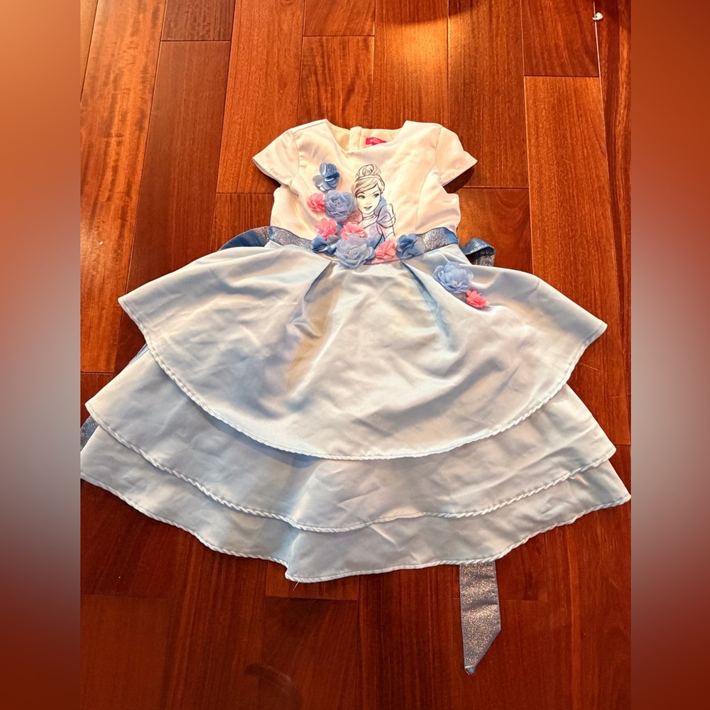 Beautiful Cinderella dress